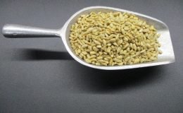 1404 - ROASTED & SALTED SUNFLOWER SEEDS