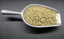 1401 - ROASTED NO SALT SUNFLOWER SEEDS