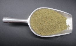 1704 - CELERY SEED