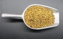1735 - PICKLING SPICE