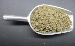 1754 - SAGE, GROUND