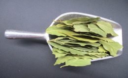 1729 - WHOLE BAY LEAVES