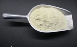 1739 - ONION POWDER