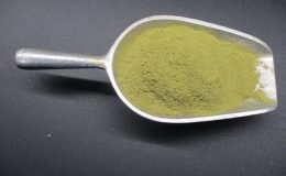 1781 - SAVORY,GROUND