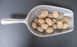 1722 - WHOLE NUTMEG