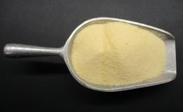 207 - APRICOT GELATIN