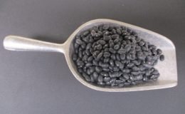 3412 - BLACK BEANS