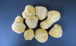 1836 - BREADED WHOLE MUSHROOMS --- THIS ITEM DOES NOT SHIP -- STORE PICKUP ONLY