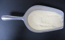 1776 - GRANULATED ONION