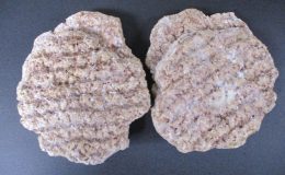 1821 - OLD FASHIONED STYLE BEEF PATTIES, PRE-COOKED, HEAT & SERVE --- THIS ITEM DOES NOT SHIP -- STORE PICKUP ONLY